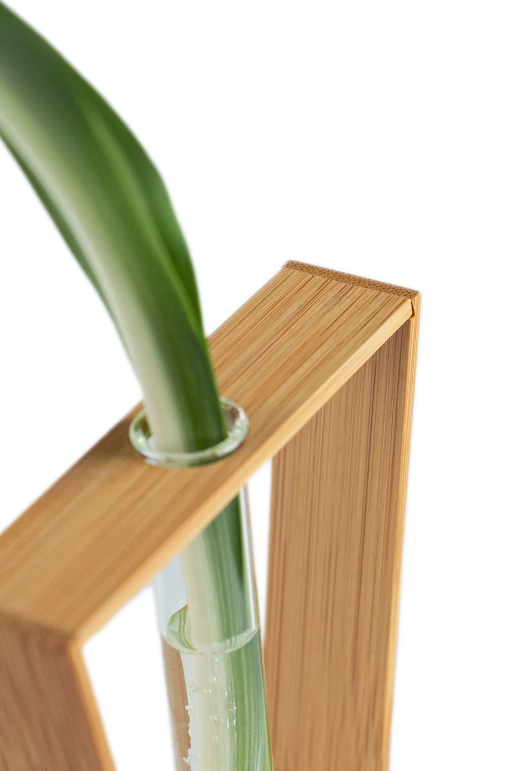Outlet Teori Bamboo Vase HOLLOW