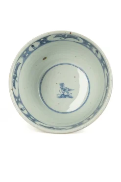 Online Studio Wani Bowl-Tyrannosaurus