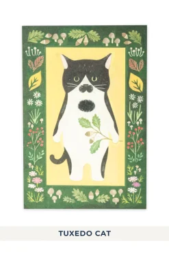 Hot Mino Washi Cat in the Picture Book Post Card - 11 choices