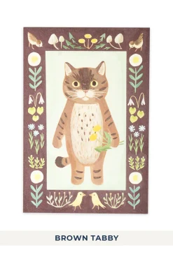 Hot Mino Washi Cat in the Picture Book Post Card - 11 choices