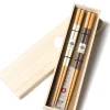 Hot Mino Washi Chopsticks - 2 Pairs - Yasashi-Irodori - IV/BR