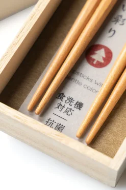 Hot Mino Washi Chopsticks - 2 Pairs - Yasashi-Irodori - IV/BR