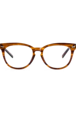 Clearance Buddy Optical Cornell - Brown