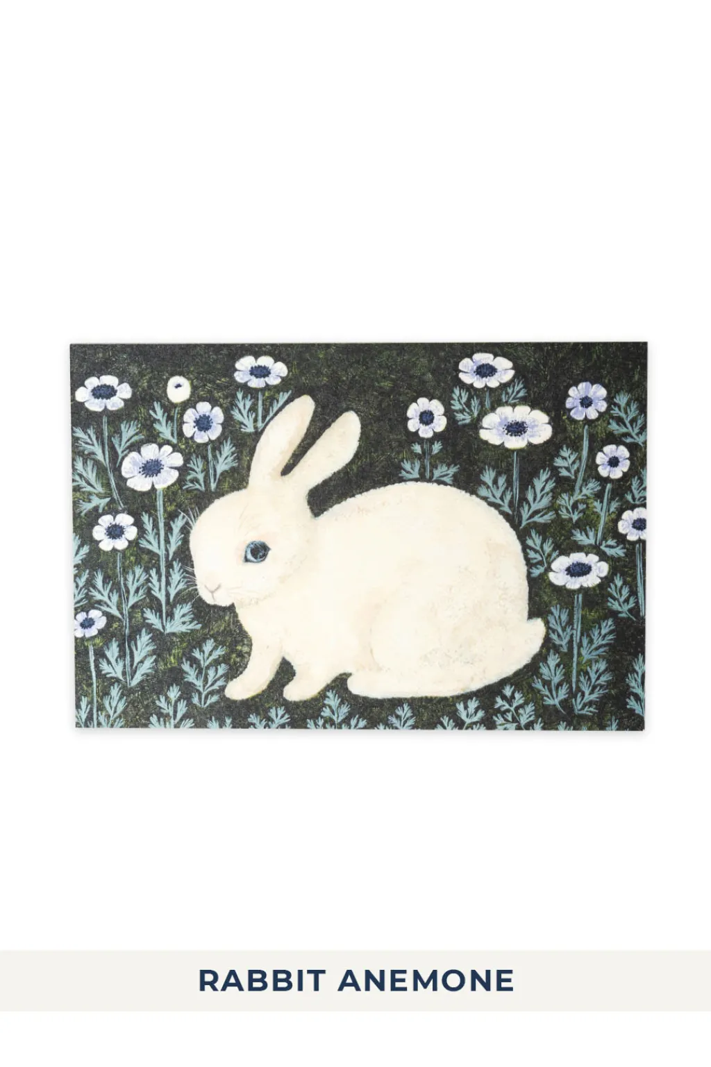 Online Mino Washi Rabbit Post Card - 5 choices