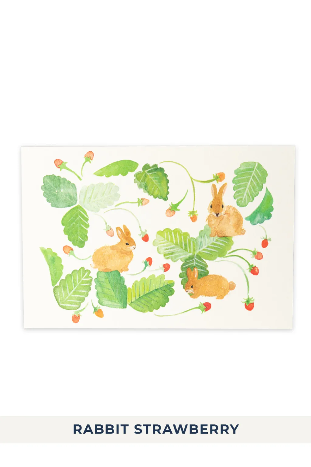 Online Mino Washi Rabbit Post Card - 5 choices