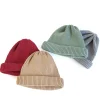 New Decho Roll Knit Cap in 4 Color Choices