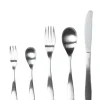 Fashion Mino Pottery Satin Finish Stainless Steel Dinner Cutlery 5pcs Set