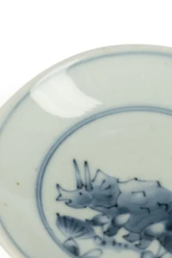 Online Studio Wani Small Plate-Triceratops